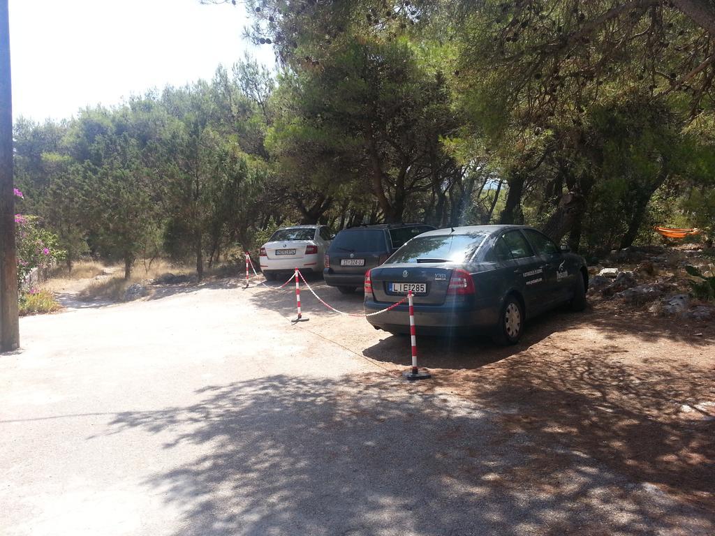 Apartament Pavao